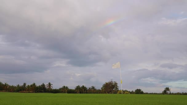 Trópusi Golfpálya Pálmafák Pályán Szivárvány — Stock videók