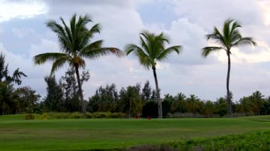Tropikal golf sahası ve dramatik günbatımı bulutlar palmiye ağaçları