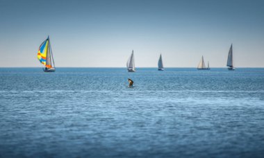 Denizde dalgalar ile rüzgarda Yelken Regatta