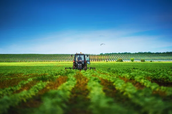 Agricultor em trator preparando terra com cultivador na primavera — Fotografia de Stock