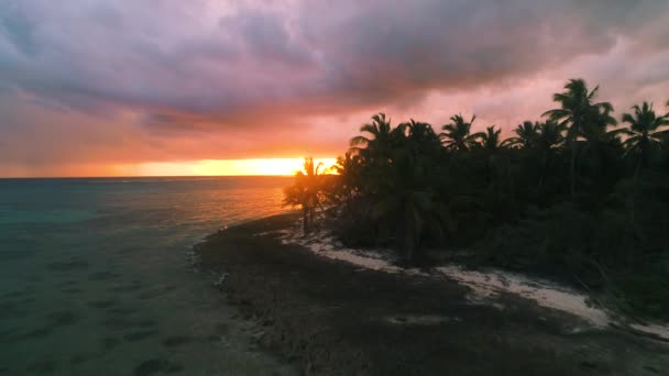 在加勒比海的异国情调的热带岛屿的日出 空中无人机视图 — 图库视频影像