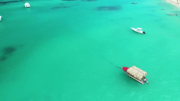 Flygvy Över Motorbåts Segling Havet Punta Cana Dominikanska Republiken — Stockvideo