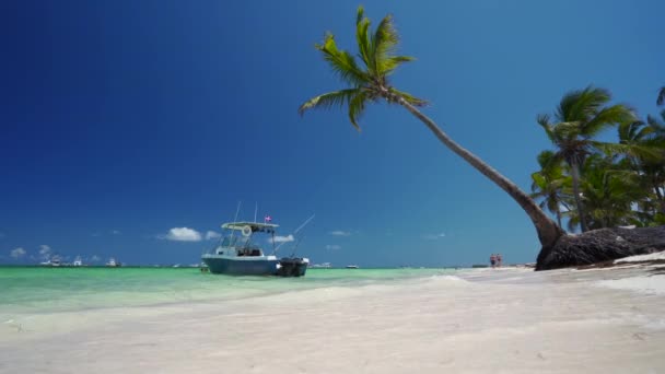 Sommer Tropischen Strand Boot Und Meer Punta Cana Dominikanische Republik — Stockvideo