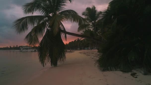 エキゾチックな島ココナッツヤシの木と熱帯のビーチ カリブ海の夏休み — ストック動画