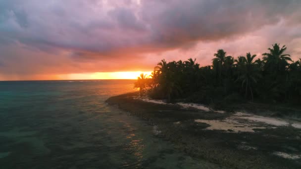 多米尼加共和国蓬塔卡纳 在加勒比海的异国情调的热带岛屿索纳的日出 — 图库视频影像