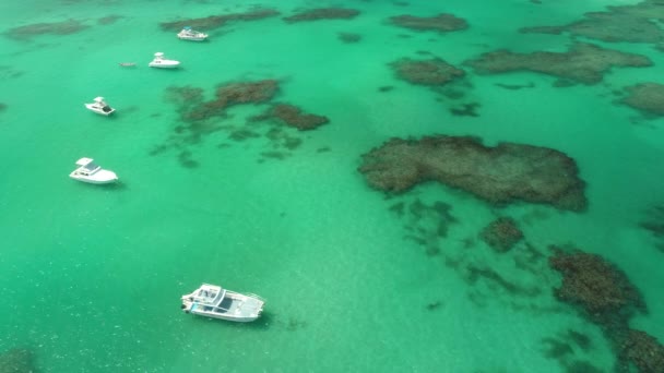双体船在碧绿海水中的鸟瞰图 — 图库视频影像