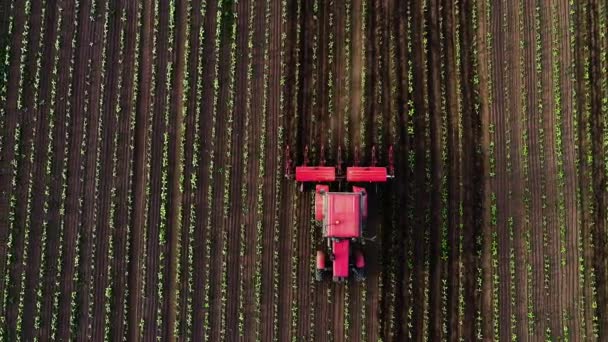 Tractor Cultivating Field Spring Aerial Sunset View — Stock Video