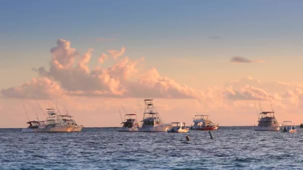Soluppgång Över Yachter Katamaraner Och Båt Tropiska Karibiska Havet Sommarlov — Stockvideo