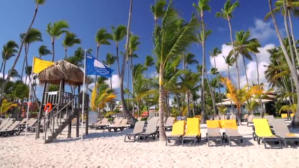在热带异国情调的海滩上 带着救生圈和太阳椅的日出 蓬塔卡纳 — 图库视频影像