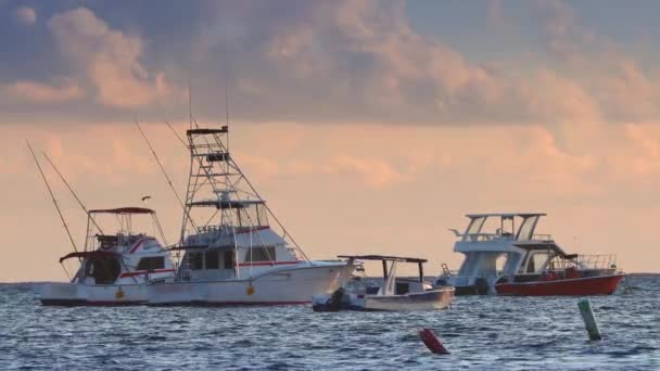 热带岛屿附近加勒比海的游艇日出时分 — 图库视频影像