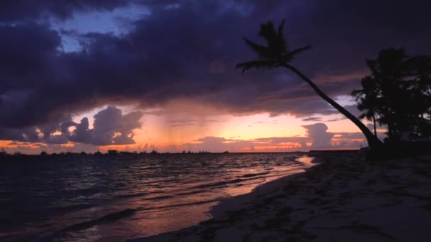 加勒比海的海上日出和热带岛屿海滩 — 图库视频影像