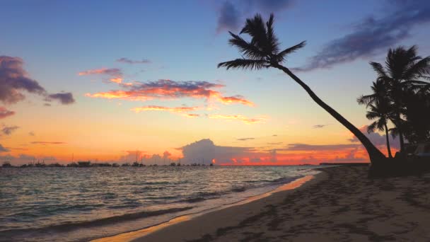 Pantai Tropis Saat Matahari Terbit — Stok Video