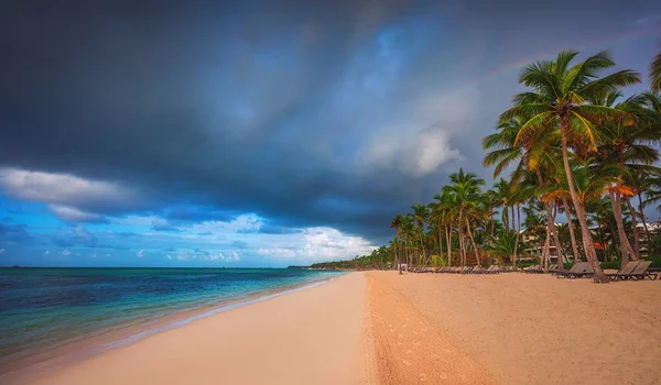 Palmbomen op het tropische strand, Dominicaanse Republiek — Stockfoto