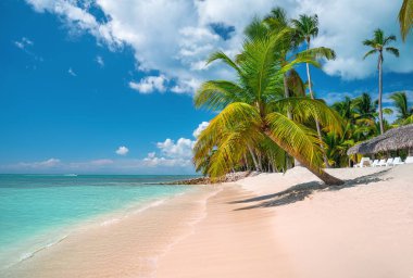 Tropical caribbean island Saona, Dominican Republic. Beautiful b clipart