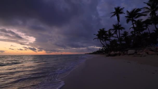 海洋日出 棕榈树和热带岛屿海滩蓬塔卡纳 多米尼加共和国 加勒比景观 — 图库视频影像