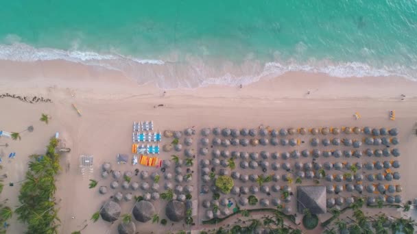 해변의 푼타카나 도미니카 공화국 — 비디오