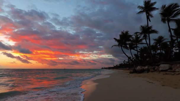 Paraíso Paisaje Playa Tropical Palmeras Amanecer Dorado República Dominicana — Vídeo de stock