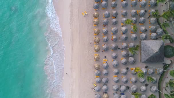 Vacaciones Verano Playa Tropical Vista Aérea Del Mar Tumbonas Sombrillas — Vídeo de stock