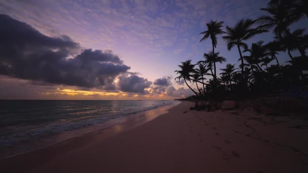 Karayip Adasında Deniz Gündoğumu Tropikal Plaj Punta Cana Dominik Cumhuriyeti — Stok video