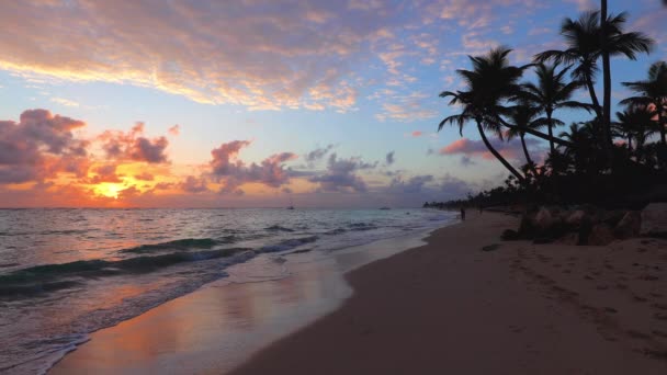 Tropisch Paradijs Eiland Strand Zee Met Kokospalm Boom Voor Vakantie — Stockvideo