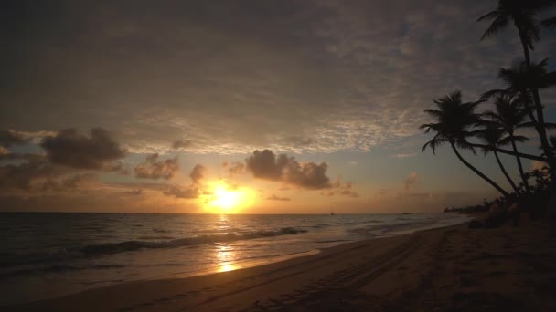 Tropisch Paradijs Eiland Strand Zee Met Kokospalm Boom Vakantie Zomervakantie — Stockvideo