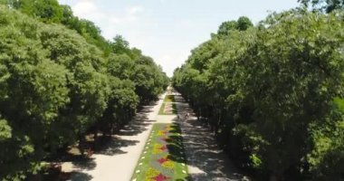 Varna Bulgaristan, renkli çiçekler, sokaklar, banklar, plaj ve deniz ile deniz bahçesi parkı havadan görünümü