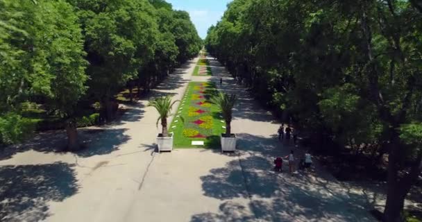 Varna Bulgaria Vista Aerea Del Parco Giardino Sul Mare Con — Video Stock