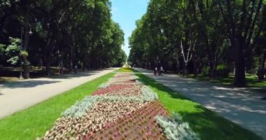 Varna Bulgaristan, renkli çiçekler, sokaklar, banklar ve mutlu insanlar ile deniz bahçesi parkı havadan görünümü