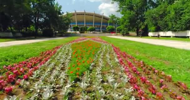 Varna Bulgaristan Renkli Çiçekler Sokaklar Mutlu Insanlar Ile Deniz Bahçesi — Stok video