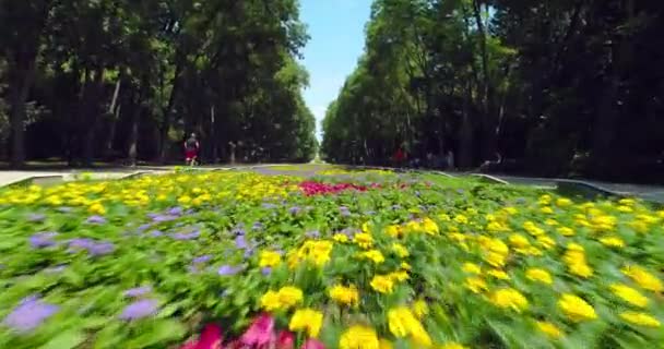 Varna Bulgaria Letecký Pohled Mořský Zahradní Park Pestrým Květinami Běžícím — Stock video