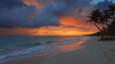 Cennet tropikal ada plaj Manzara. Punta Cana, Dominik Cumhuriyeti