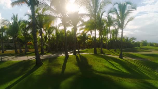 Golf Baan Luxe Tropisch Resort Zonsondergang Boven Sportvelden Terrein Palmbomen — Stockvideo