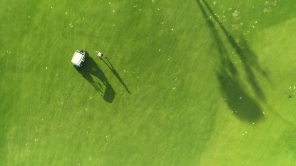 Campo Golfe Jogador Campeão Jogando Jogo Resort Tropical Luxo Vista — Vídeo de Stock