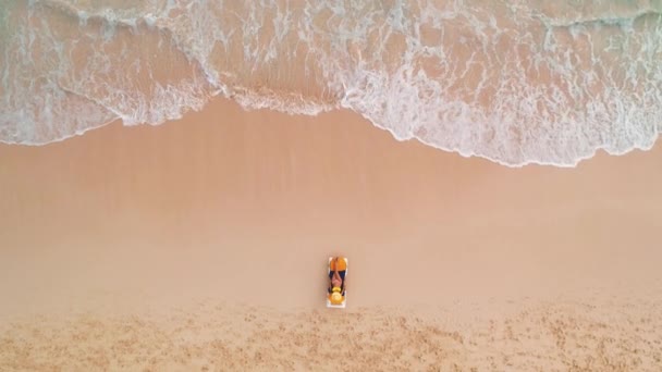 Strand Semester Paradiset Tropiska Sexig Solbränna Kvinna Koppla Idyllisk Sommar — Stockvideo