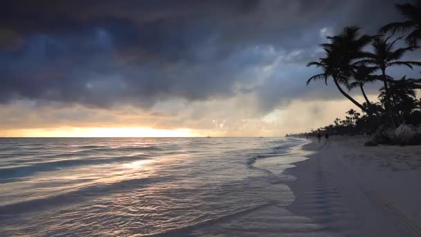 Plage Paradisiaque Sur Île Tropicale Lever Soleil Sur Punta Cana — Video