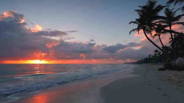 Punta Cana República Dominicana Paisagem Paraíso Praia Ilha Tropical Belo — Vídeo de Stock