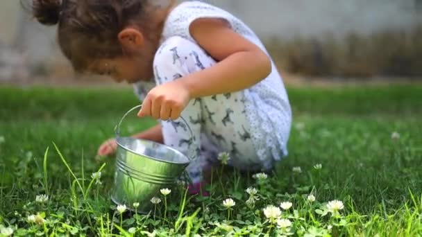 Kleines Mädchen Pflückt Erdbeerfrüchte Und Gänseblümchen Garten — Stockvideo