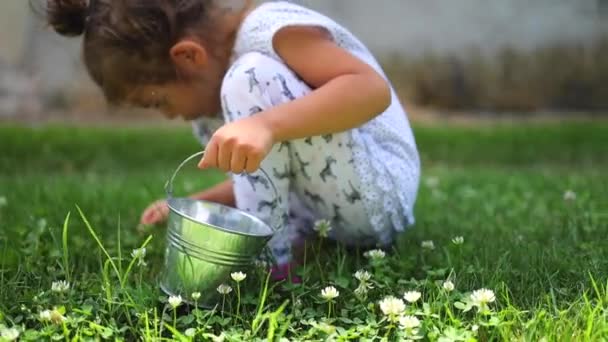 Pequena Menina Colhendo Frutas Morango Flores Margarida Jardim Rural — Vídeo de Stock