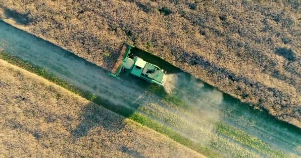 Luftaufnahme Über Arbeitende Landwirtschaftliche Mähdrescher Auf Einem Erntefeld — Stockvideo