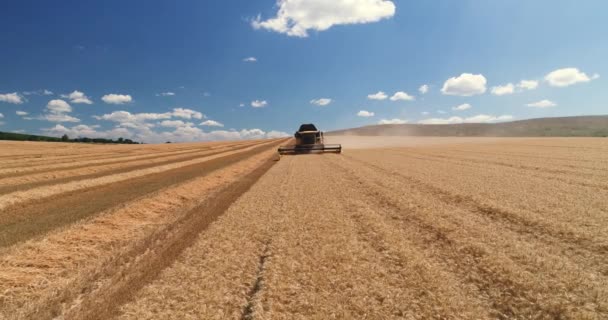 Werkland Bouw Combineer Oogst Veld — Stockvideo