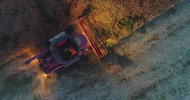 日落时分在田野里联合收割机 拖拉机和农机收割机 — 图库视频影像