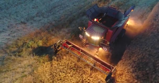 Aerial View Working Combine Harvester Field Sunset Tractors Farm Machines — Stock Video