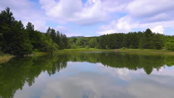 Lago Bosque Verde Profundo Montaña Blue Stones Karandila Sliven Bulgaria — Vídeos de Stock