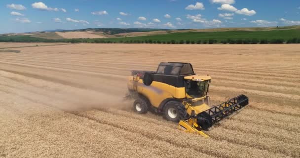 収穫場で働く農業の空中ドローンビュー — ストック動画
