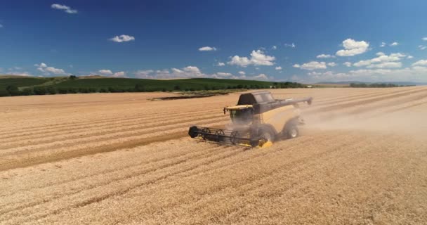 Combineer Werken Oogst Landbouw Veld Luchtfoto Drone Weergave — Stockvideo