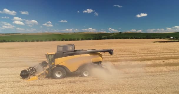 Combineer Werken Oogst Landbouw Veld Luchtfoto Drone Weergave — Stockvideo