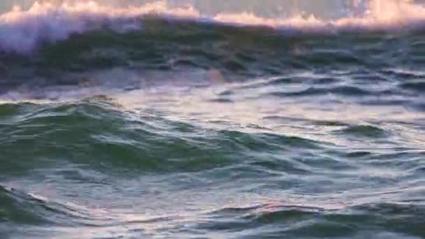 Природний Вид Море Схід Сонця Літаючі Птахи Над Водою Концепція — стокове відео