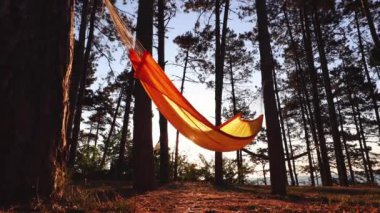 Bağ alanları yakınındaki ormanda ağaçların altında salıncak hamak