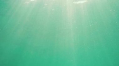 Su altı, deniz dalgaları ve suda parlayan güneş ışınları