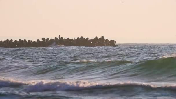 Sonnenaufgang Strand Und Tropische Meereswellen Angeln Morgen — Stockvideo